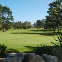 knysna-golf knysna-golf